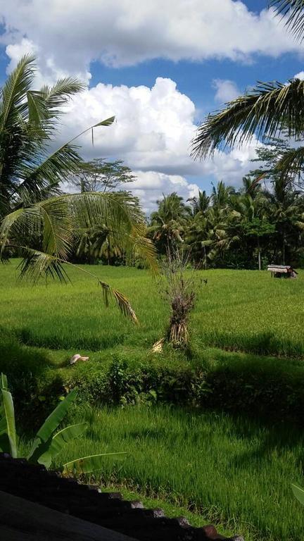 Kishi-Kishi Ubud Villas Exterior foto