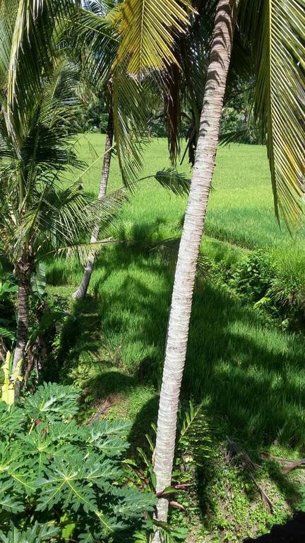 Kishi-Kishi Ubud Villas Exterior foto