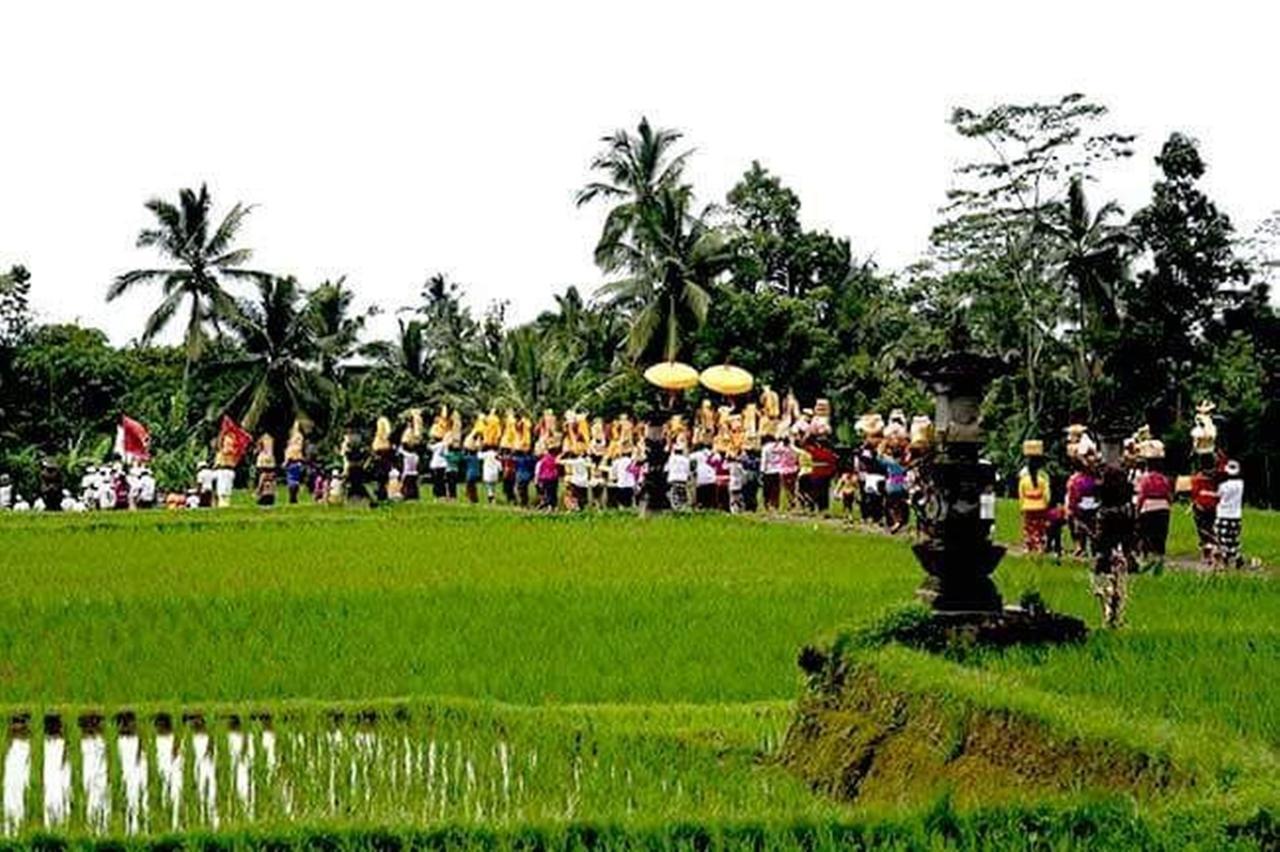 Kishi-Kishi Ubud Villas Exterior foto