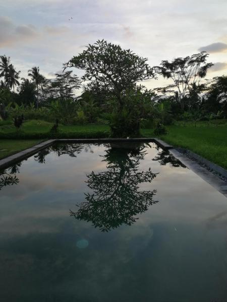 Kishi-Kishi Ubud Villas Exterior foto